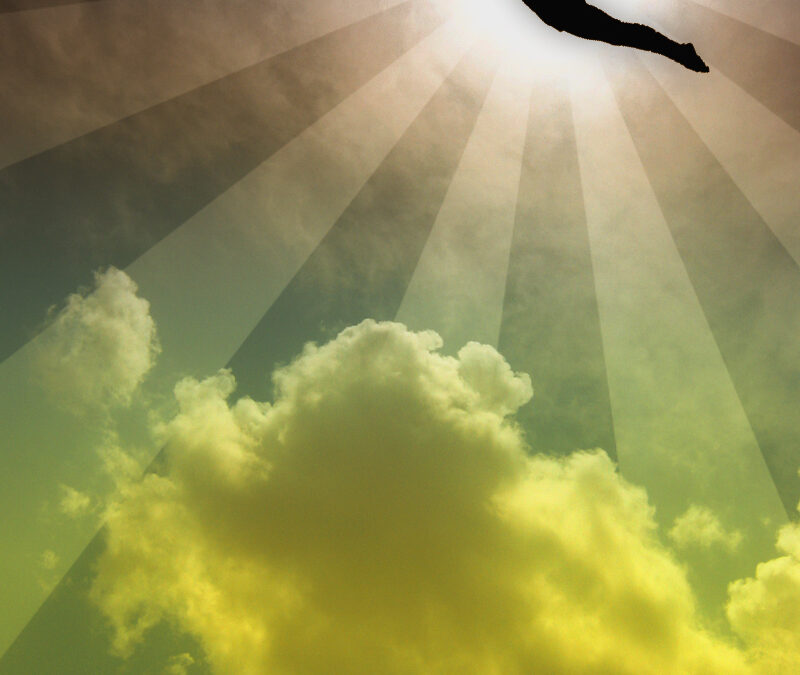 Do You Like To Fly? (Day 03)