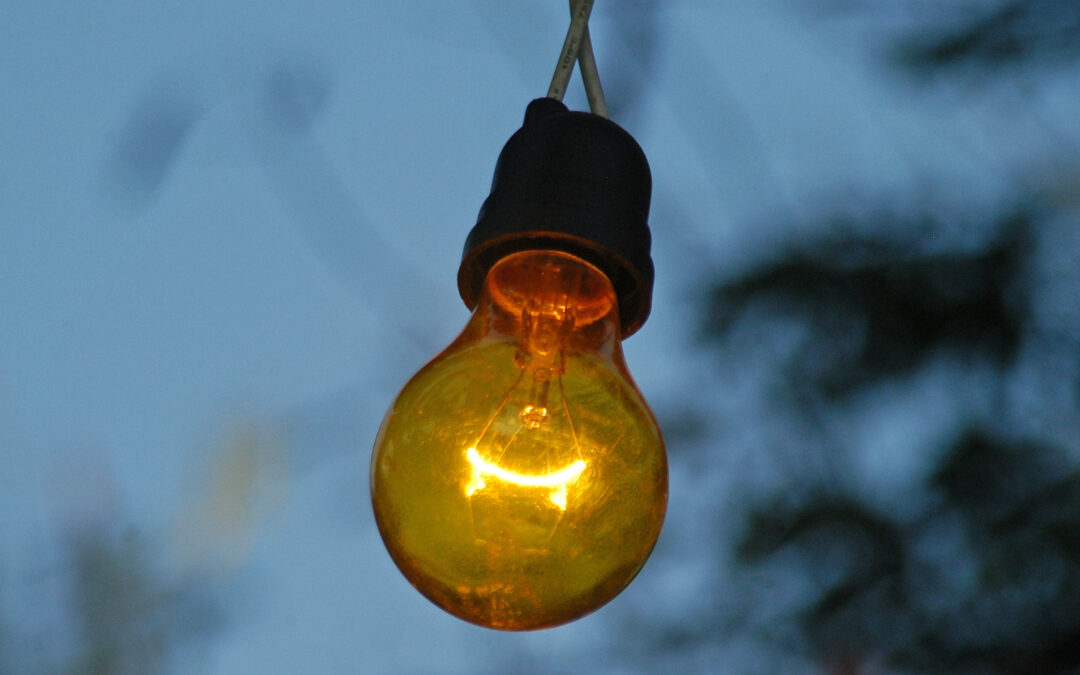 Why You Need to Take Action on Your Ideas Immediately? (Day 09)